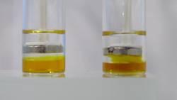 Effect of magnetic field through dodecane (clear top layer) on 20 wt% aqueous surfactant solutions